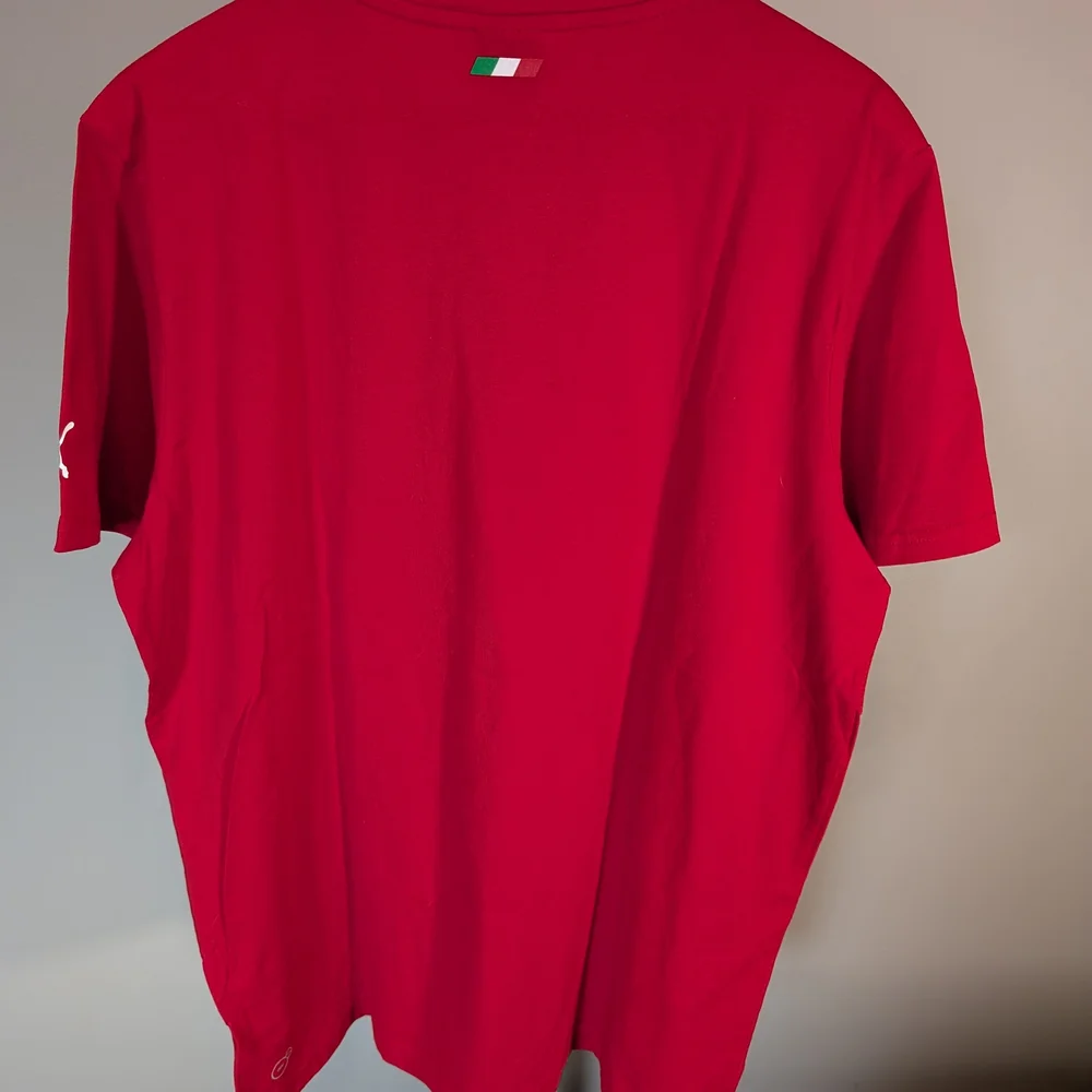 Puma Red Men's Short Sleeve Graphic Tee with Italian Stripe - Picture 3 of 16